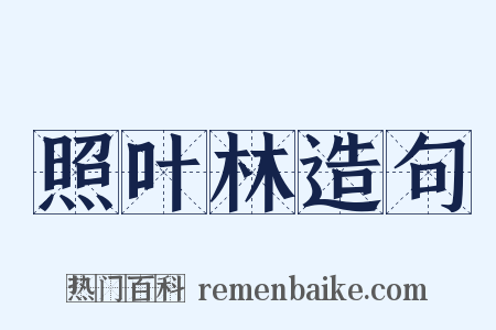 照叶林造句是什么意思的图片